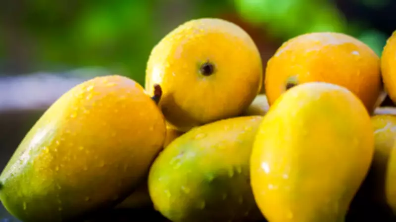 Japan Halts Mango Imports from India Over Fumigation Protocol Deficiencies
