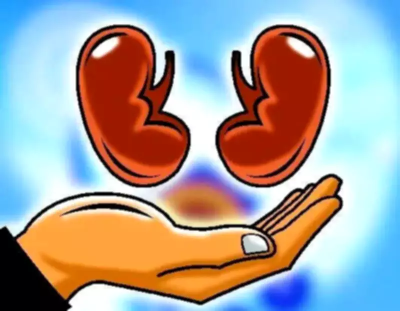 Jeevandan Organ Donation: Private Hospitals Dominate, Govt Lagging