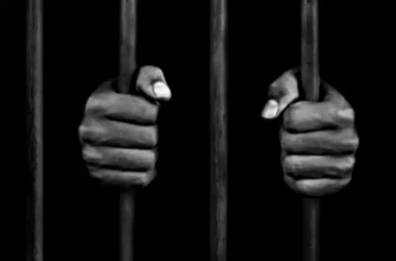 Jhansi Police Arrest Three in Arms Smuggling, Seize Weapons and Cash