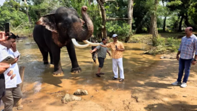 Jharkhand CM Hemant Soren Visits Dubare Elephant Camp with Family