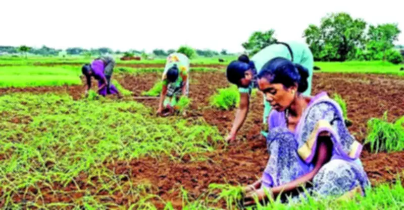 Jharkhand Crops Devastated by Unrelenting Storms and Hail