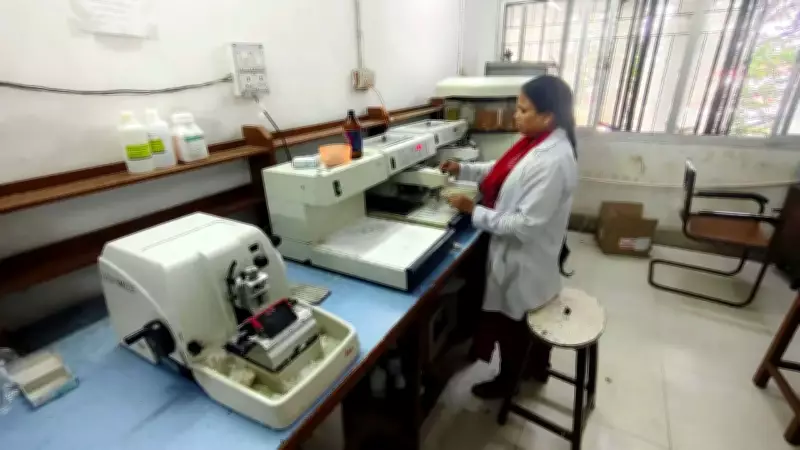 Jharkhand to Replace Semi-Automatic Pathology Machines with Fully Automatic Ones