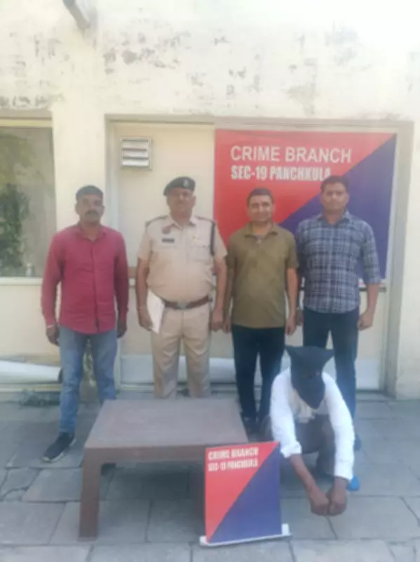 Jind Man Arrested for Stealing Phones During Panchkula MC Poll Victory Celebration