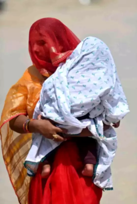 Kanpur Sizzles at 44.6°C, Highest of Season; Heatwave Alert Issued