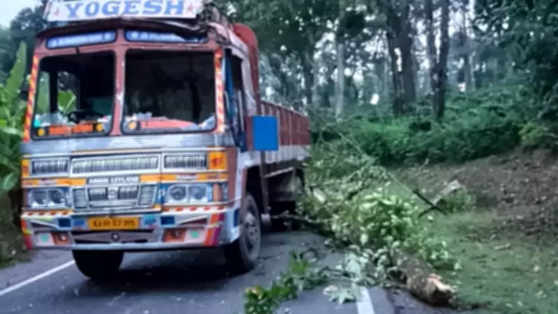 Karnataka: Eight Labourers Injured as Tree Branch Hits Lorry in Heavy Rain