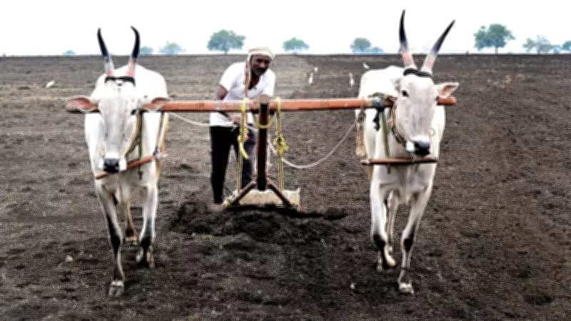 Karnataka Farmers Face High Input Costs Ahead of Kharif Sowing Season