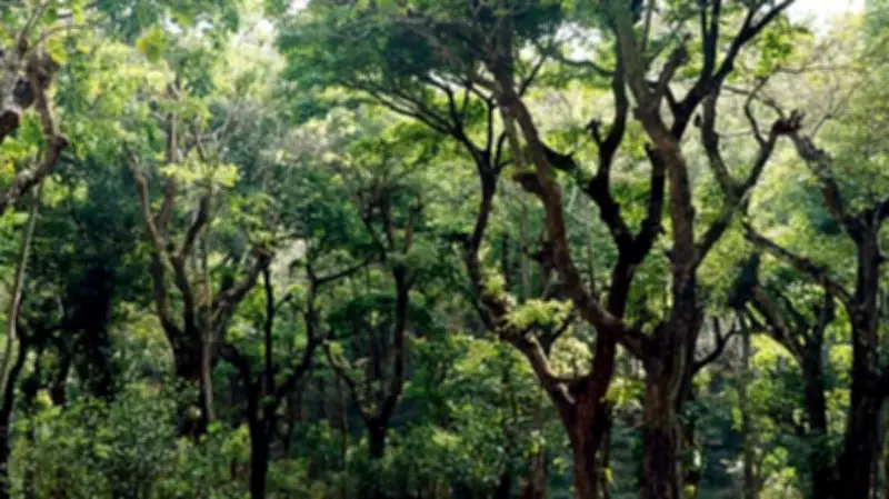 Karnataka Forest Officer Suspended for Aiding Illegal Tree Felling