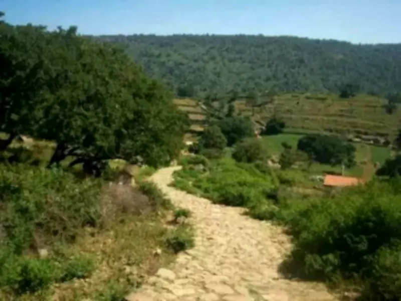 Karnataka Suspends Trekking in Wildlife Areas After Leopard Kills Boy