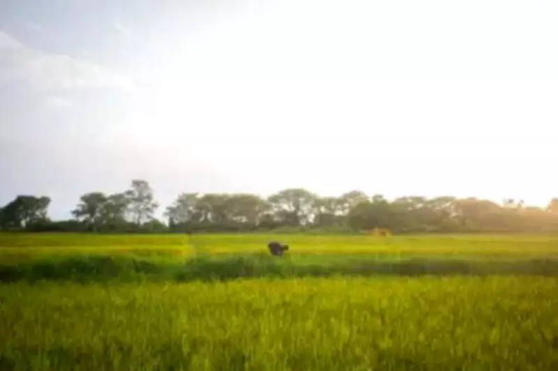 Karnataka to Create Climate Action Plans for All 5,994 Gram Panchayats