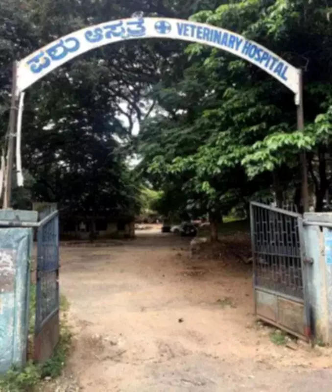 Karnataka veterinary dept faces severe staff shortage, 1,800 posts vacant