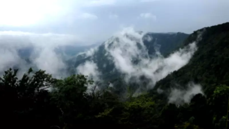 Karnataka's Rail Dream Sparks Fresh Western Ghats Clash