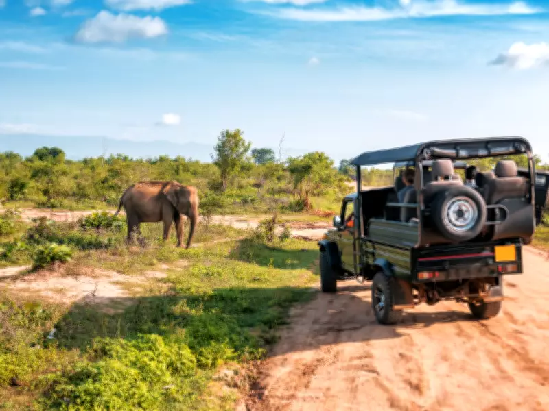 Kaziranga Jeep Safari Closed from May 25 Due to Monsoon