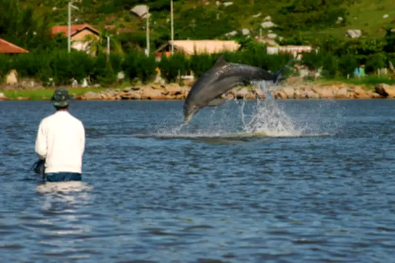 Kerala University Partners with Oregon State to Study Human-Dolphin Cooperation