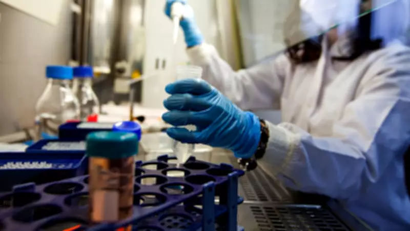 KFD Deaths Rise in Karnataka as Better Vaccine Remains in Trial Stage