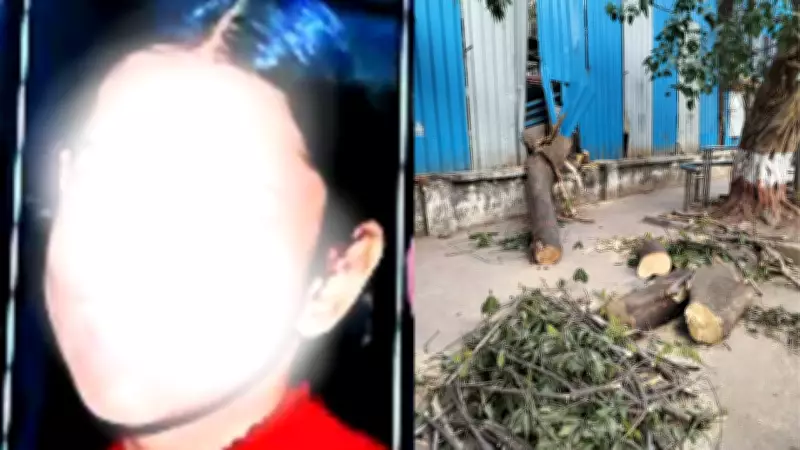 Khar Tree Fall Victim Aarika Srivastava Dies, Police Add Culpable Homicide Charge
