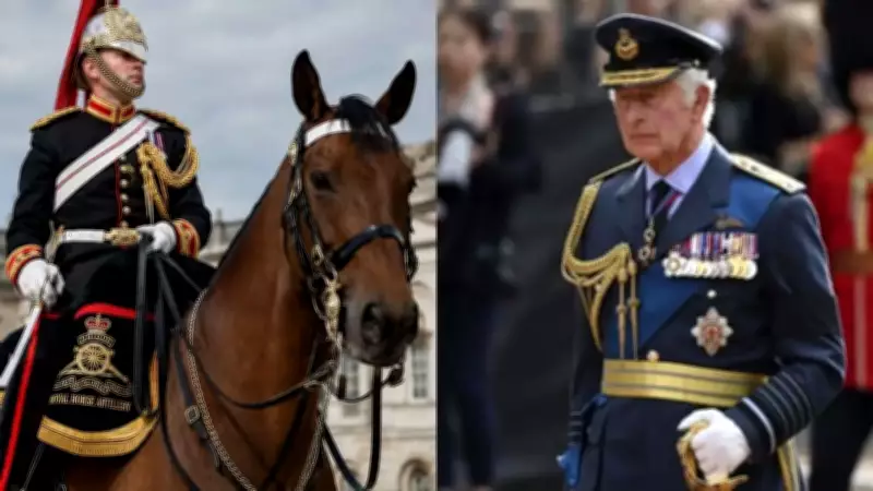 King Charles' Artillery Soldier Dies in Horse Show Fall