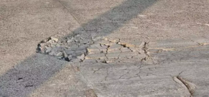 Kochi Bridge Develops Crater, Exposing Steel Bars; Locals Allege Negligence