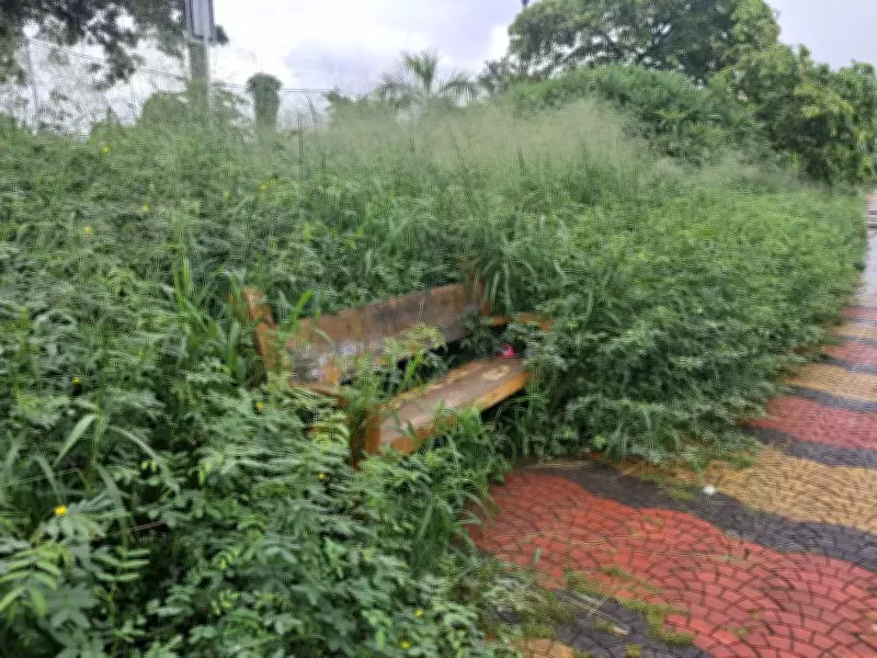 Kochi's Waterfront Walkway in Decay: Residents Alarmed