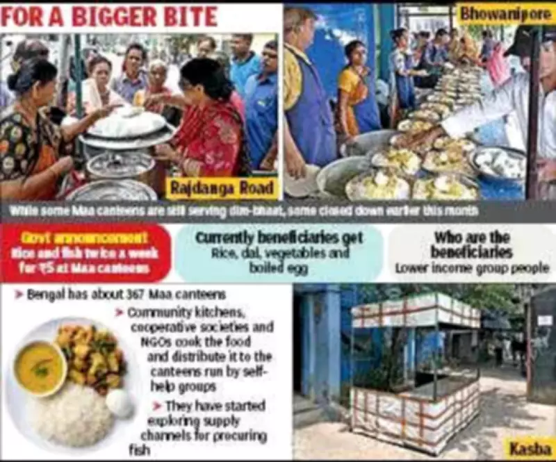 Kolkata's Maa Canteens to Introduce Rs 5 Fish Meal Twice a Week