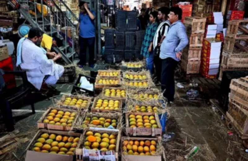 Konkan Alphonso mango output may plunge to 15% of normal this season