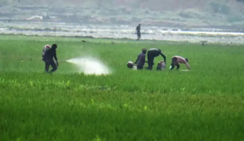 Krishna and Kakinada Districts Selected for Fertiliser App Pilot Project
