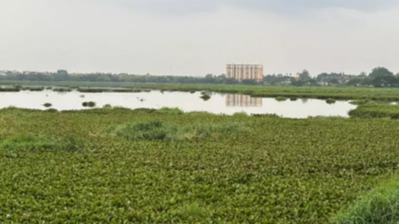KUWSDB Proposes Rs 34 Crore Project to Divert 15 MLD Sewage from Dalavai Lake