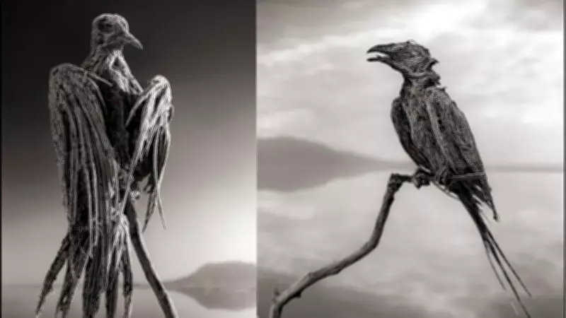 Lake Natron: The Truth Behind Tanzania's 'Stone-Turning' Lake