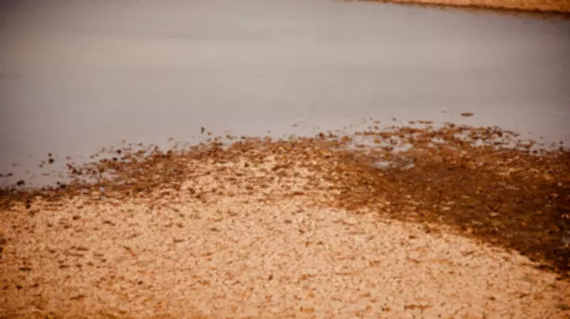 Lake Soil from Karnataka Transported to Kerala After Stones