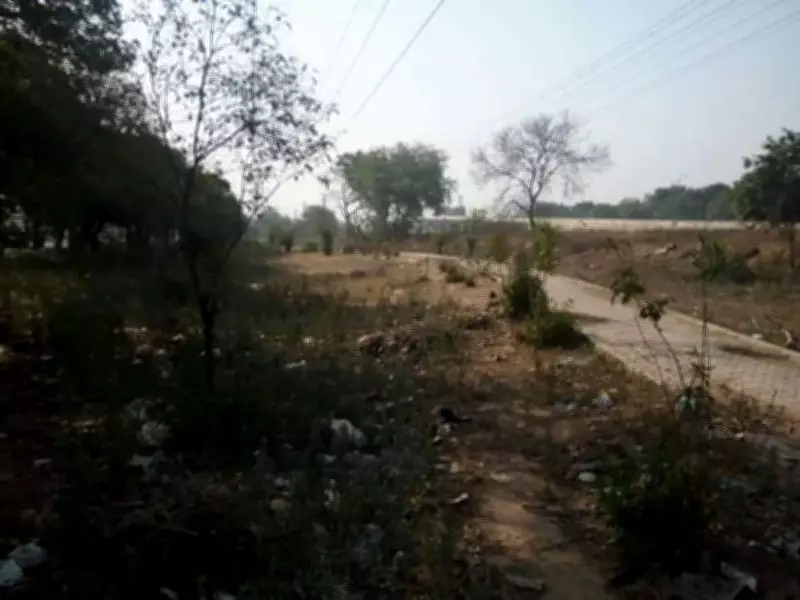 Leisure Valley in Ludhiana Deteriorates, Residents Demand Restoration