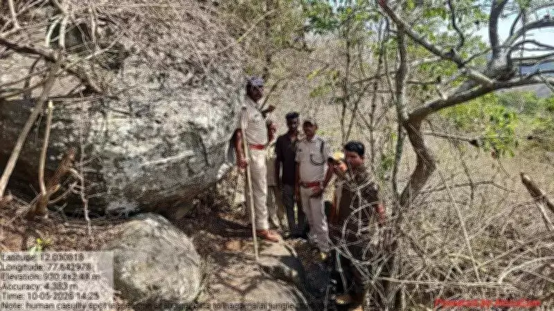 Leopard Mauls Boy to Death in Mysuru Sanctuary, Trekking Suspended