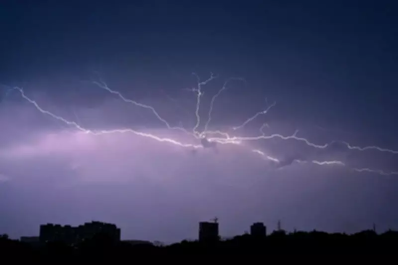 Lightning strike kills 18 sheep in Kalaburagi district