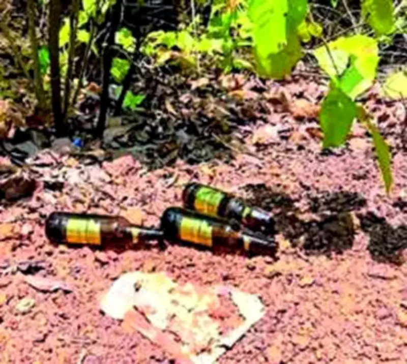 Liquor bottle litter in Odisha forests threatens elephant safety: WSO