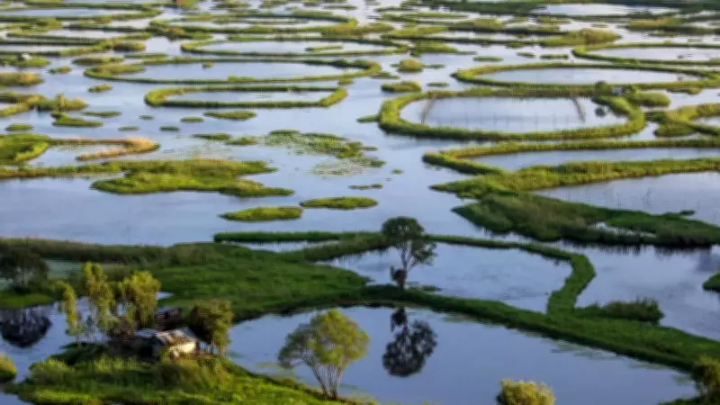 Loktak Lake: Home to World's Only Floating National Park and Dancing Deer