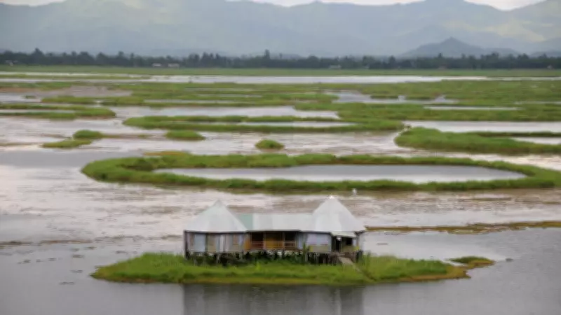 Loktak Lake: India's Floating Lake with Unique Phumdis and Rare Wildlife