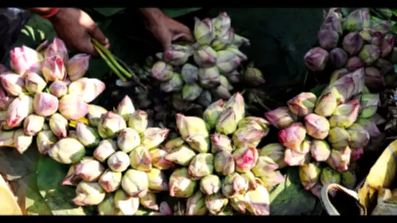 Lotus Sales Spike in Kolkata Markets After BJP's West Bengal Win