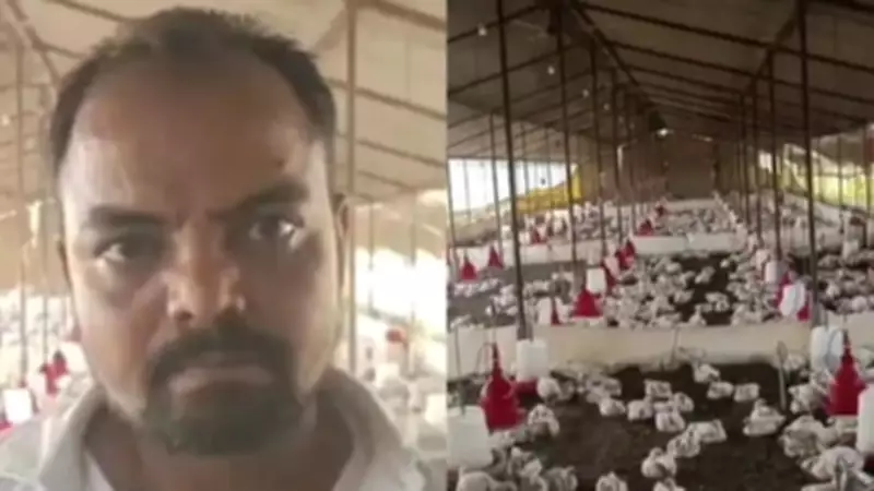 Loud Wedding Music Kills Over 100 Chickens in UP, Farmer Files Complaint