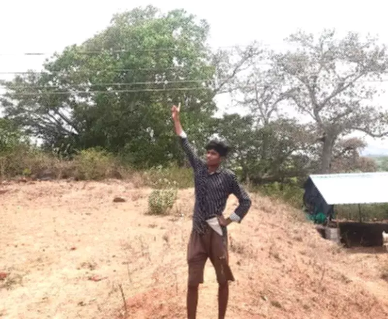Low-Hanging Wires in Krishnagiri Forest Threaten Elephant Lives