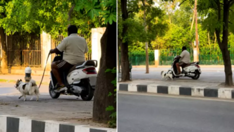 Lucknow Man Walks Dog While Riding Scooter, Video Goes Viral