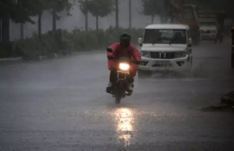 Ludhiana Admin Conducts Mock Drills, Forms Quick Response Teams for Flood Preparedness