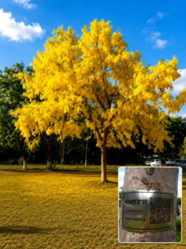 Ludhiana Agricultural University Trees to Narrate Their Stories via QR Codes