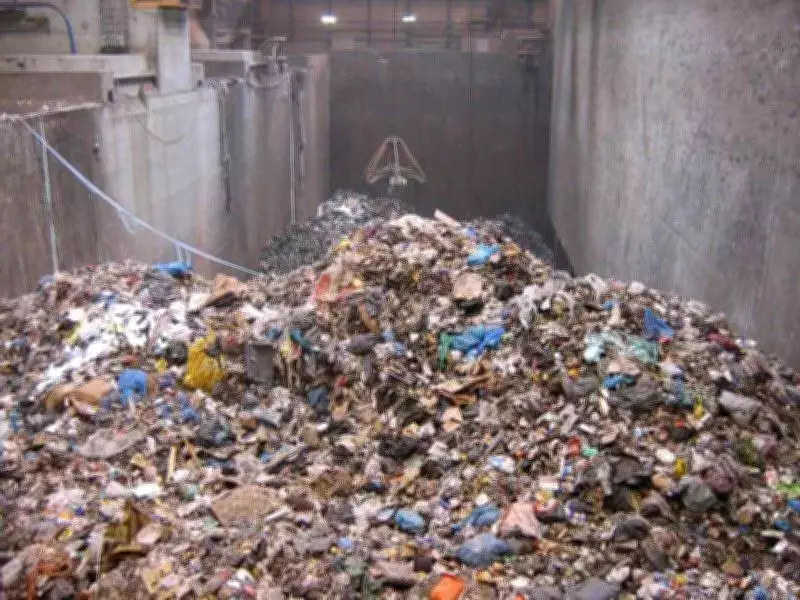 Ludhiana Gole Market Shopkeepers Demand Action on Park Sanitation