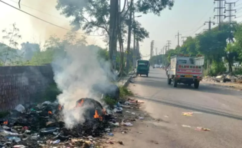 Ludhiana Records Second Highest Environmental Law Cases in India in 2024