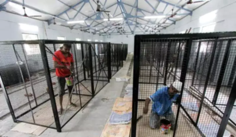 Madurai Corp Upgrades Dog Shelter with Rs 14.10 Lakh Tender
