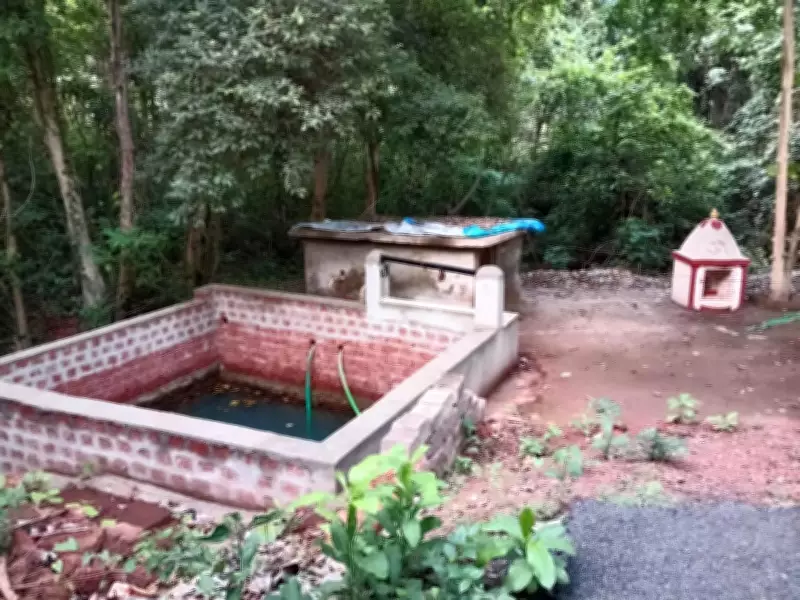 Mahamaya Kalika Temple in Bicholim Undertakes Water Conservation Project