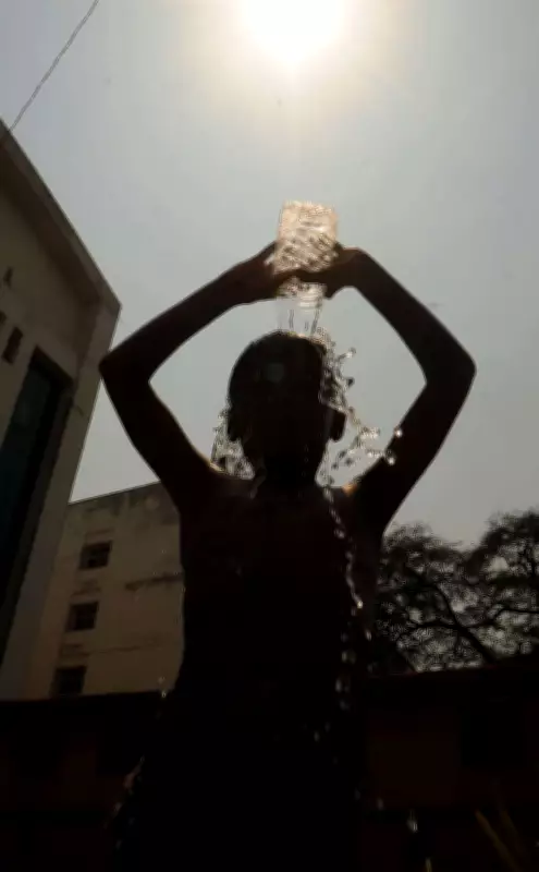 Maharashtra Reports 270 Heatstroke Cases, 17 Deaths Since March
