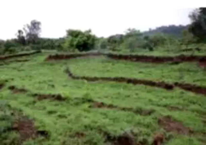 Maharashtra to Make Property Cards Mandatory with Land Titling Act