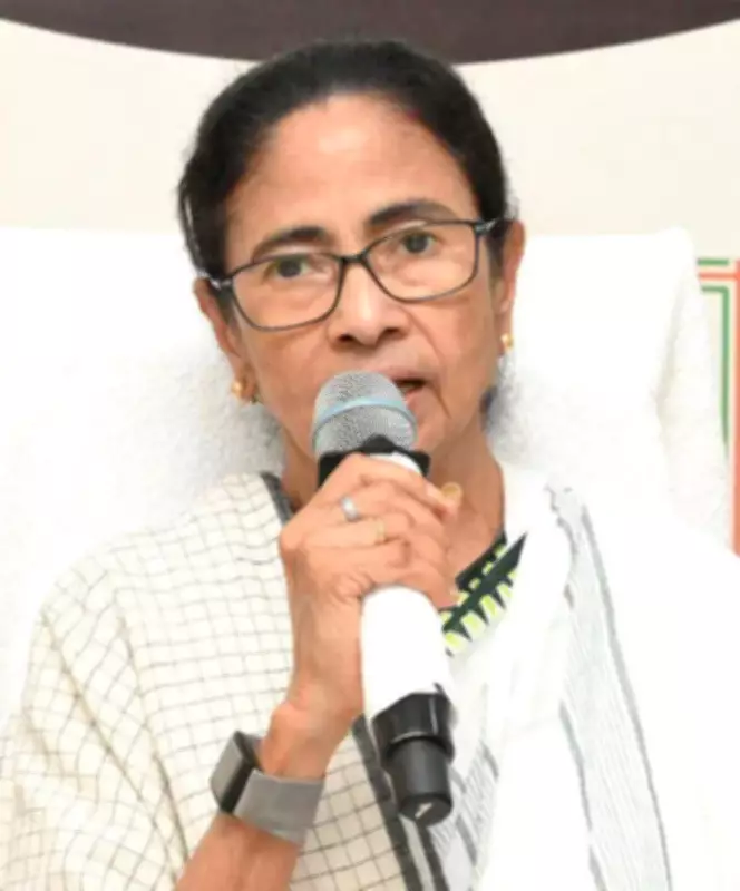 Mamata Banerjee accuses own party members of sabotaging TMC's election campaign
