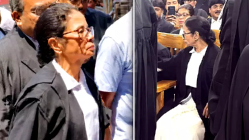 Mamata Banerjee in Lawyer's Gown Argues Post-Poll Violence Case in Calcutta HC