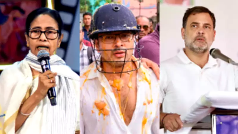 Mamata Banerjee says Rahul Gandhi offered help after attack on Abhishek Banerjee