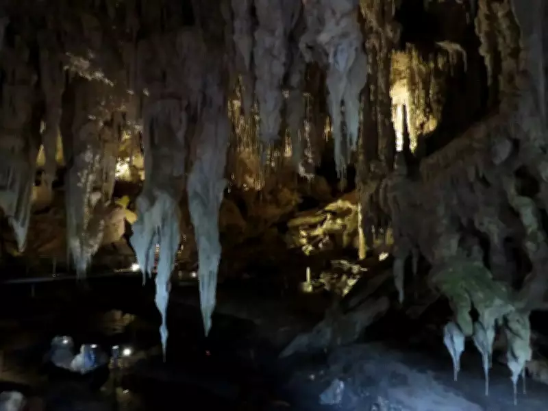 Mammoth Cave in Western Australia Reveals Arboreal Kangaroos and Ancient Human Secrets